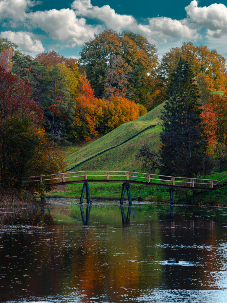 DSC07599 Edit 2 768x1024